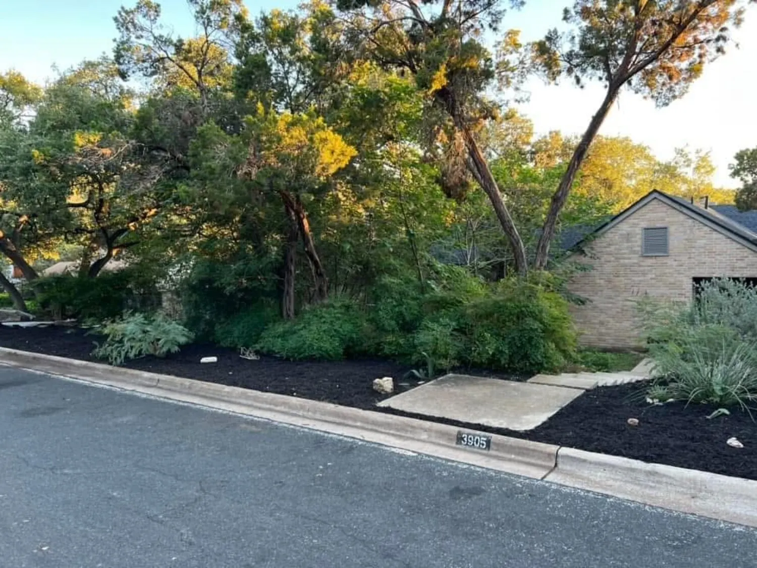 Front beds after landscape finish