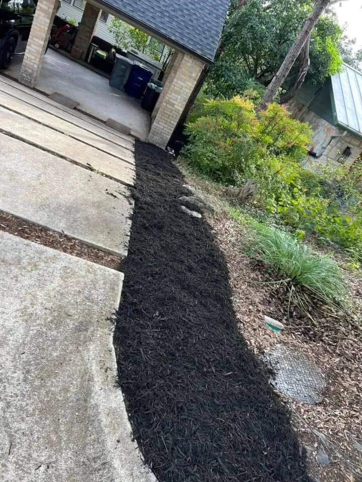 Landscaping, gutters, and trees after IMG_4601